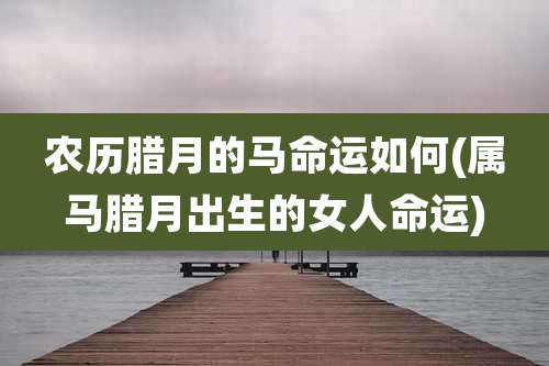 农历腊月的马命运如何(属马腊月出生的女人命运)