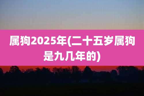 属狗2025年(二十五岁属狗是九几年的)