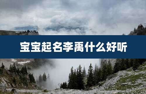 宝宝起名李禹什么好听