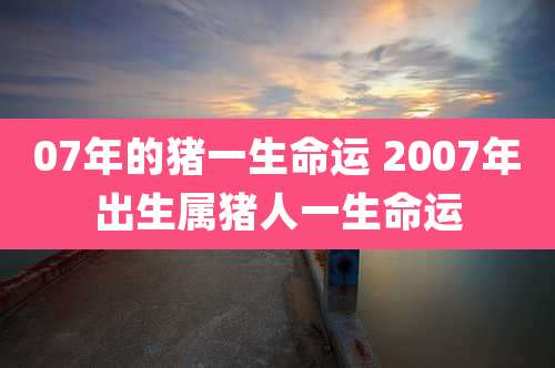 07年的猪一生命运 2007年出生属猪人一生命运