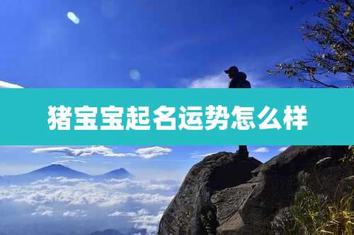 猪宝宝起名运势怎么样