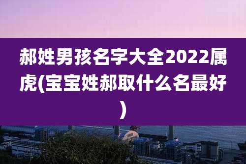 郝姓男孩名字大全2022属虎(宝宝姓郝取什么名最好)