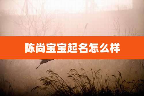 陈尚宝宝起名怎么样