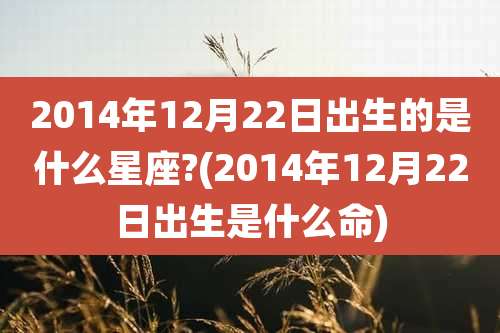 2014年12月22日出生的是什么星座?(2014年12月22日出生是什么命)