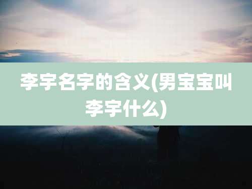 李宇名字的含义(男宝宝叫李宇什么)