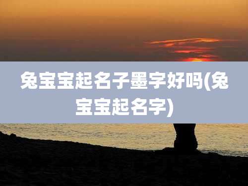 兔宝宝起名子墨字好吗(兔宝宝起名字)