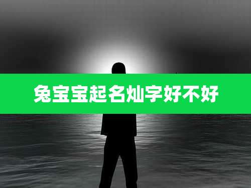 兔宝宝起名灿字好不好