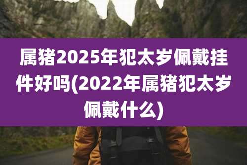 属猪2025年犯太岁佩戴挂件好吗(2022年属猪犯太岁佩戴什么)