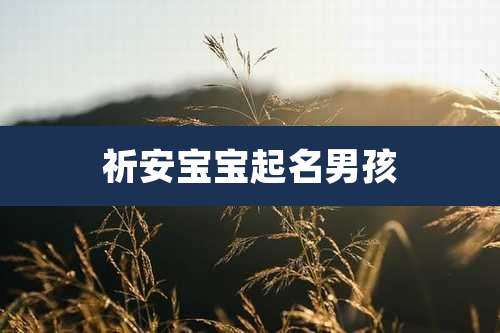 祈安宝宝起名男孩