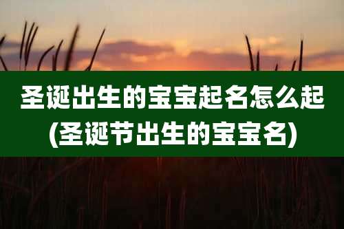 圣诞出生的宝宝起名怎么起(圣诞节出生的宝宝名)