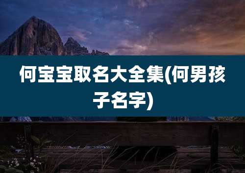 何宝宝取名大全集(何男孩子名字)