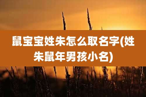 鼠宝宝姓朱怎么取名字(姓朱鼠年男孩小名)