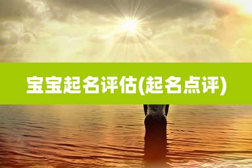 宝宝起名评估(起名点评)