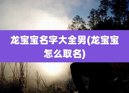 龙宝宝名字大全男(龙宝宝怎么取名)