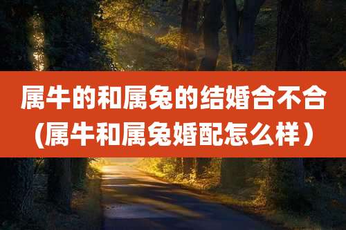 属牛的和属兔的结婚合不合(属牛和属兔婚配怎么样)