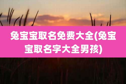 兔宝宝取名免费大全(兔宝宝取名字大全男孩)