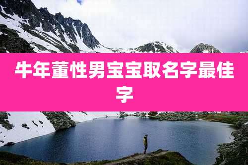 牛年董性男宝宝取名字最佳字