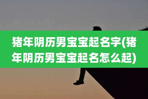 猪年阴历男宝宝起名字(猪年阴历男宝宝起名怎么起)