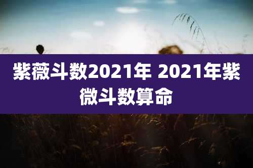 紫薇斗数2021年 2021年紫微斗数算命