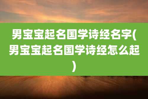男宝宝起名国学诗经名字(男宝宝起名国学诗经怎么起)