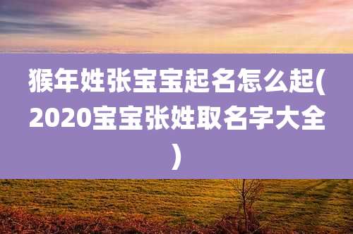 猴年姓张宝宝起名怎么起(2020宝宝张姓取名字大全)