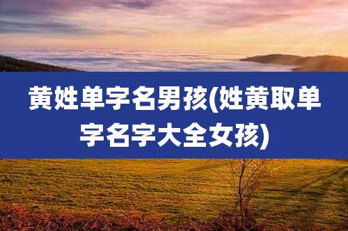 黄姓单字名男孩(姓黄取单字名字大全女孩)