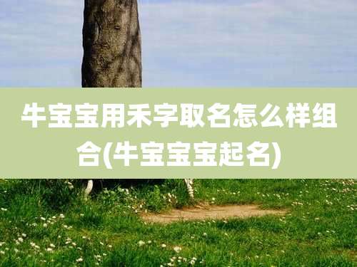 牛宝宝用禾字取名怎么样组合(牛宝宝宝起名)