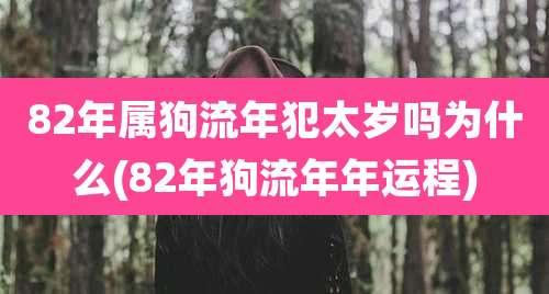 82年属狗流年犯太岁吗为什么(82年狗流年年运程)