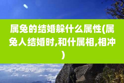 属兔的结婚躲什么属性(属兔人结婚时,和什属相,相冲)