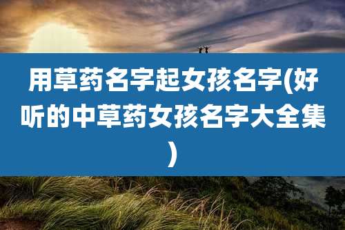 用草药名字起女孩名字(好听的中草药女孩名字大全集)