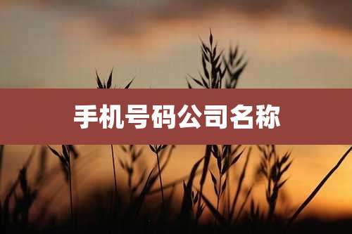 手机号码公司名称