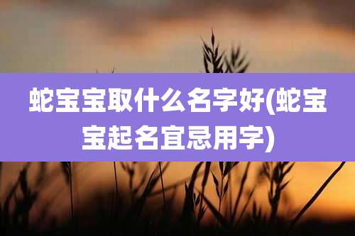 蛇宝宝取什么名字好(蛇宝宝起名宜忌用字)