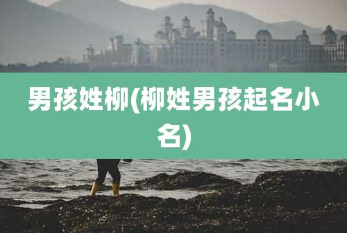 男孩姓柳(柳姓男孩起名小名)