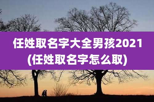 任姓取名字大全男孩2021(任姓取名字怎么取)