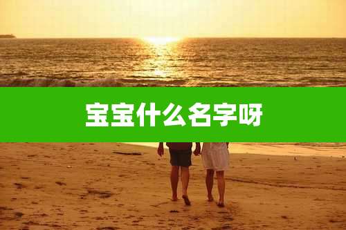 宝宝什么名字呀