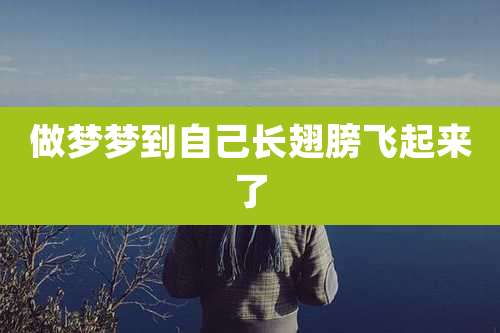 做梦梦到自己长翅膀飞起来了