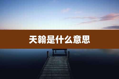 天翰是什么意思