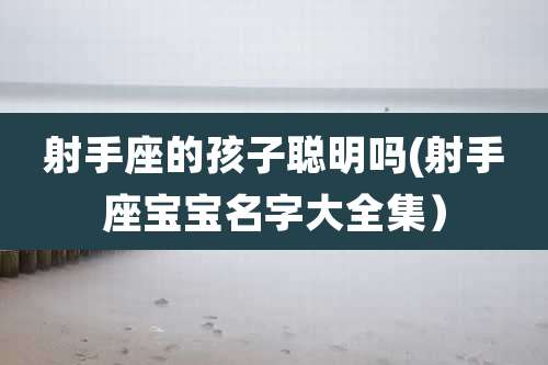 射手座的孩子聪明吗(射手座宝宝名字大全集)