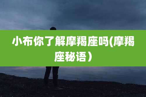 小布你了解摩羯座吗(摩羯座秘语)