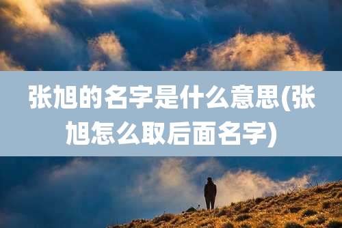 张旭的名字是什么意思(张旭怎么取后面名字)