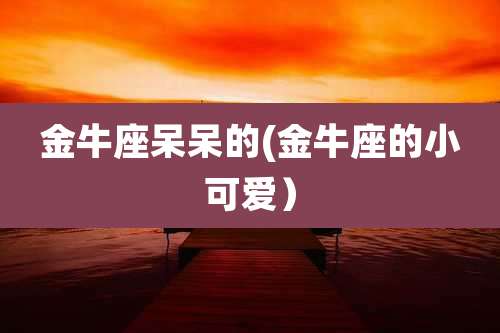 金牛座呆呆的(金牛座的小可爱)