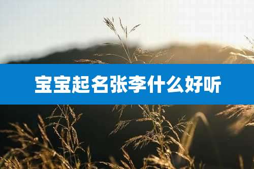 宝宝起名张李什么好听