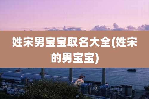 姓宋男宝宝取名大全(姓宋的男宝宝)