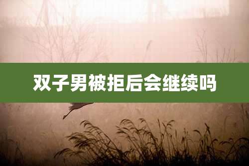 双子男被拒后会继续吗