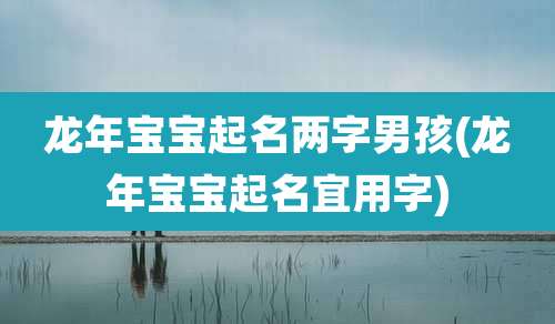龙年宝宝起名两字男孩(龙年宝宝起名宜用字)