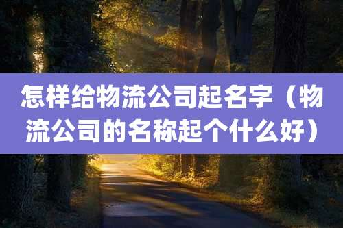 怎样给物流公司起名字(物流公司的名称起个什么好)