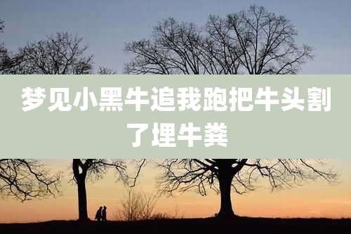 梦见小黑牛追我跑把牛头割了埋牛粪