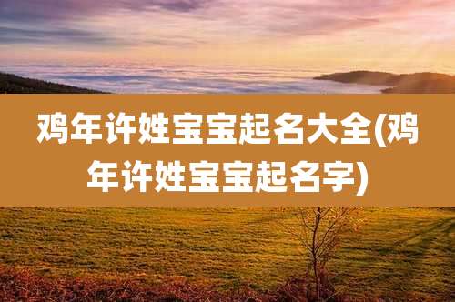 鸡年许姓宝宝起名大全(鸡年许姓宝宝起名字)