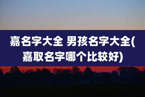 嘉名字大全 男孩名字大全(嘉取名字哪个比较好)