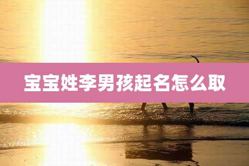 宝宝姓李男孩起名怎么取